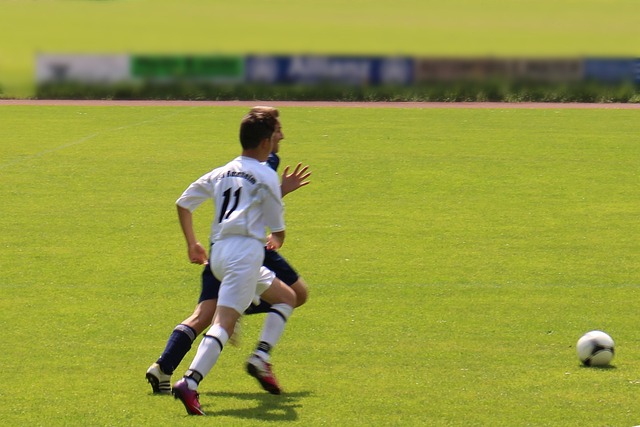 大心率的 大心率的