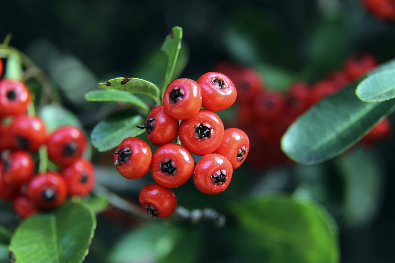 動沙特多元 動沙特多元