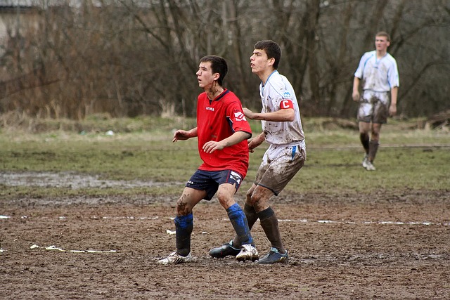 许多评论员 许多评论员