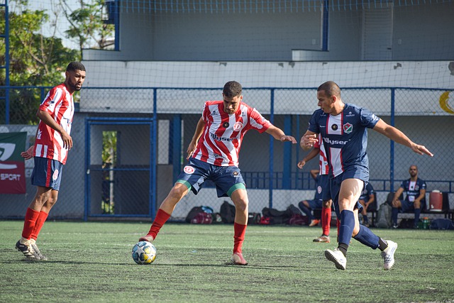 球队管理层 球队管理层