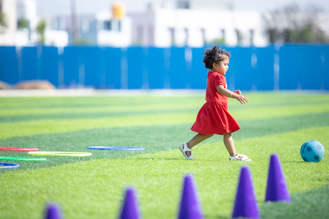 豪强的竞争 豪强的竞争