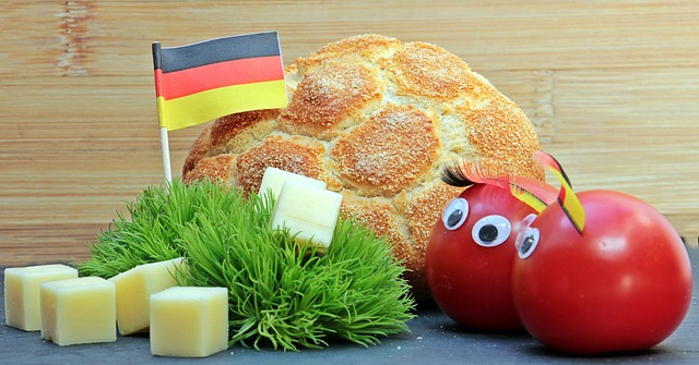 培养政策见 培养政策见