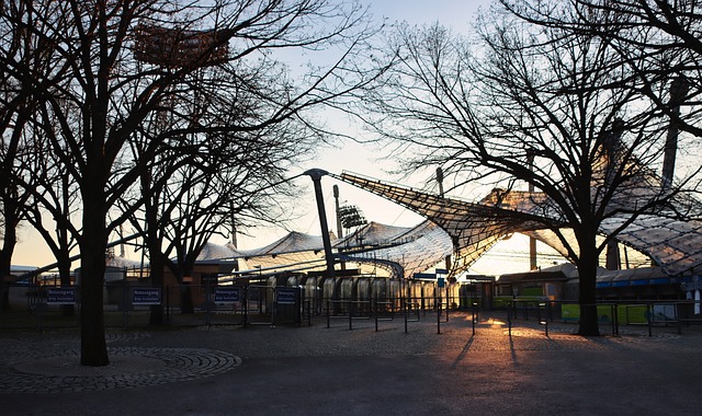 潜力和雄心 潜力和雄心