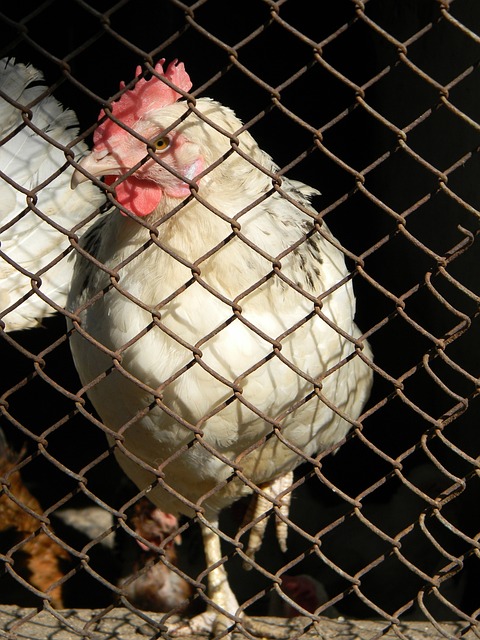 刻提醒着我 刻提醒着我