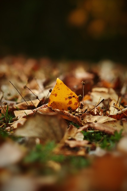 都是核心 都是核心